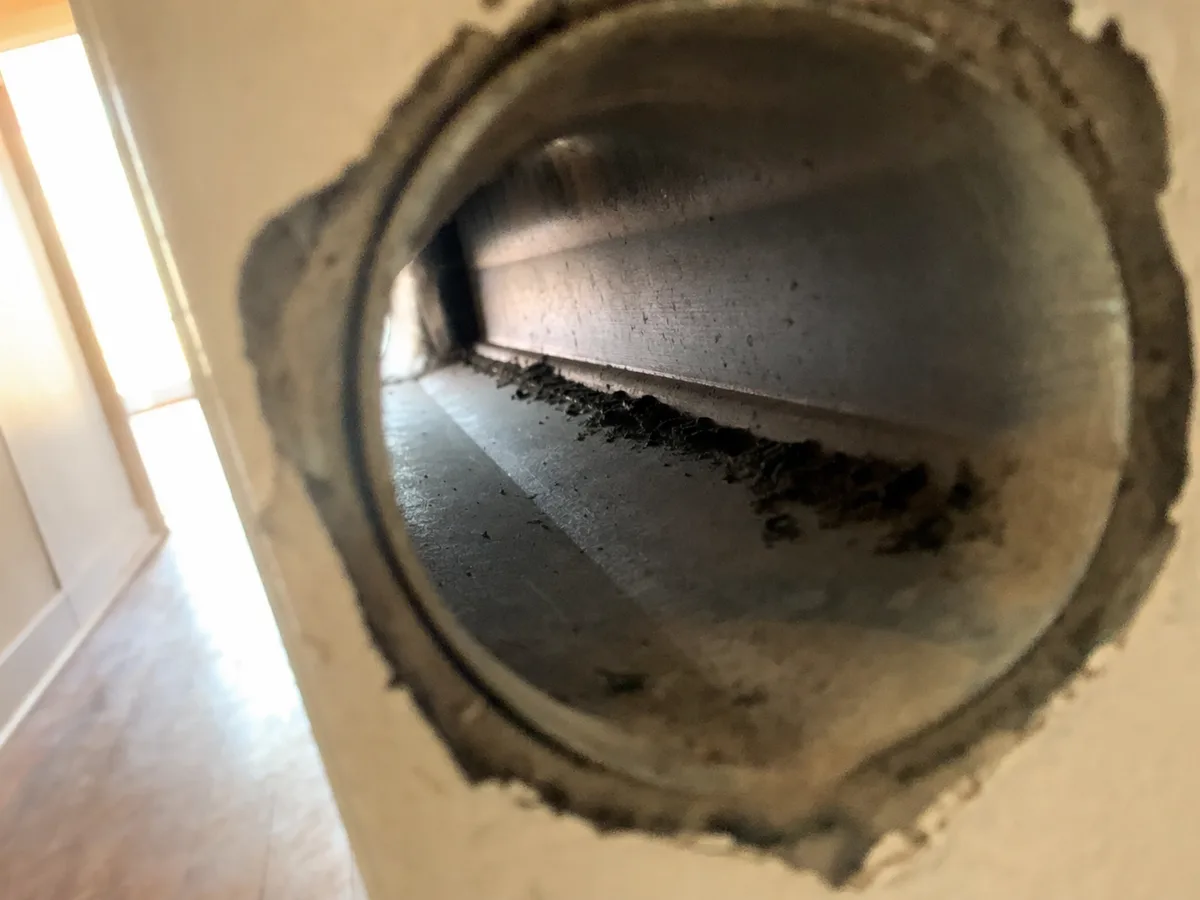 Air Duct Mold Removal in Cape Coral, FL